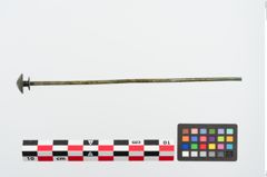 Foto von Bronzeschirmkopfnadel (NHMW-PRAE-024773)